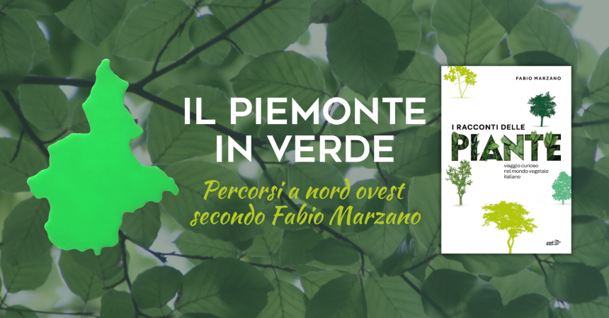Il Piemonte in verde I racconti delle piante Fabio Marzano libro torino