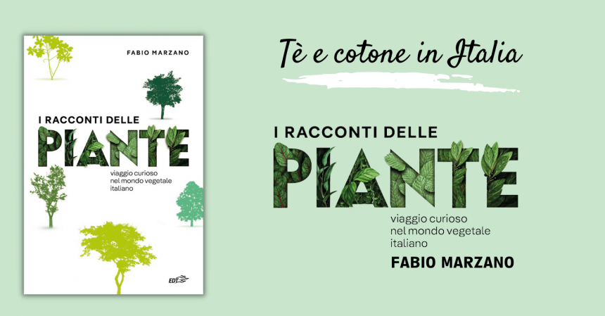 i racconti delle piante fabio marzano te cotone italia libro