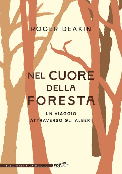 Copertina di Nel cuore della foresta