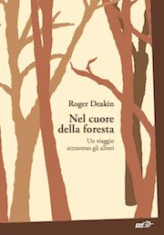 Copertina di Nel cuore della foresta