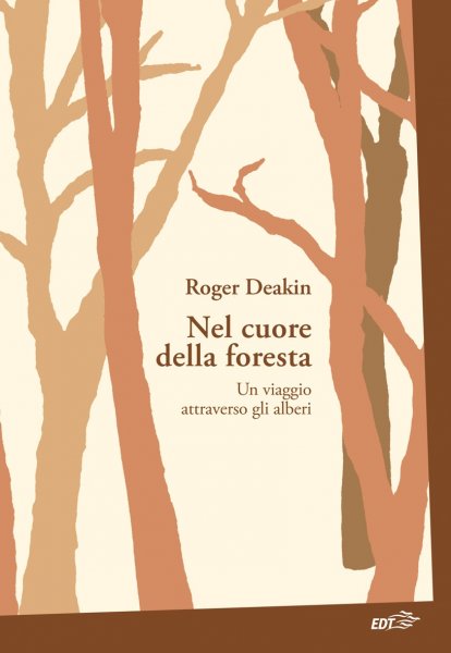 Copertina di Nel cuore della foresta Copertina di Nel cuore della foresta
